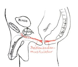 Beckenbodentraining für Männer